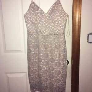 Short nude lace dress